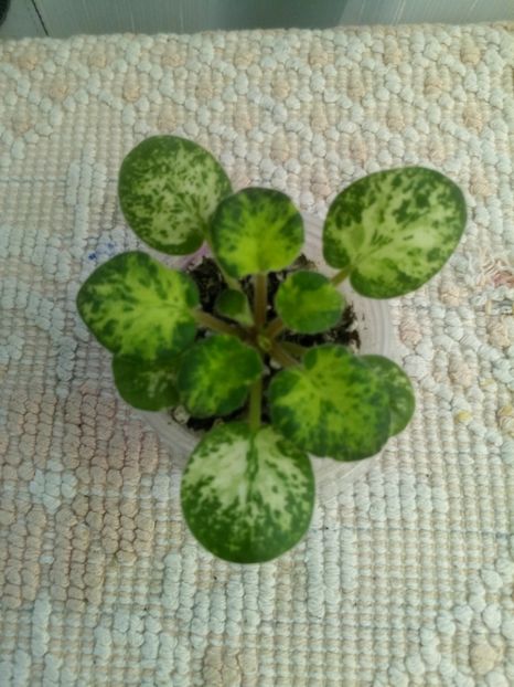 22 nov - Mac s Just Jeff