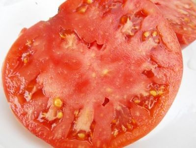  - SEMINTE ROSII - T 464 BOBBIE