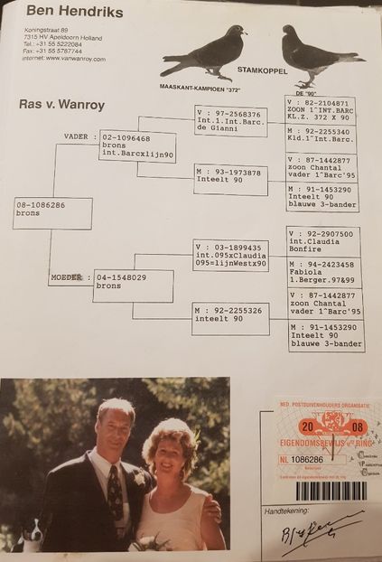 M- Wanroy-un foarte bun reproducator - pedigree matca