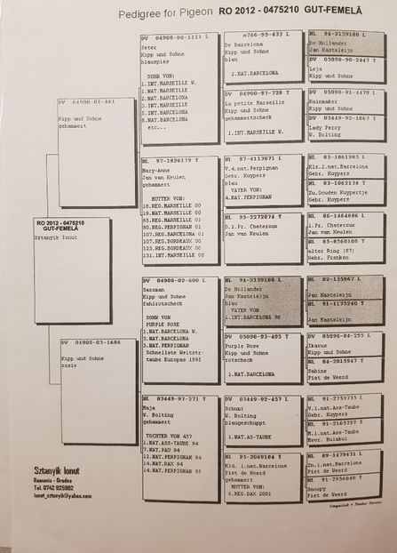 F-Jan Aarden - pedigree matca