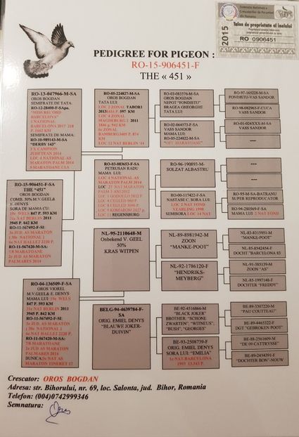 F-Oros Bogdan - pedigree matca