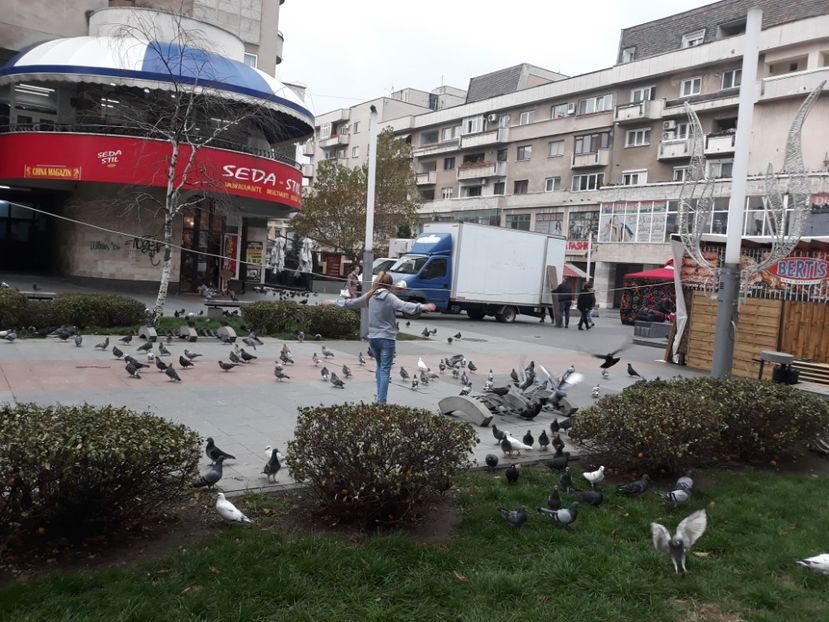  - 2019 - Excursie 20 noiembrie