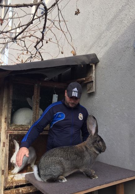 1 an 9,2 kg - RO 8-128189