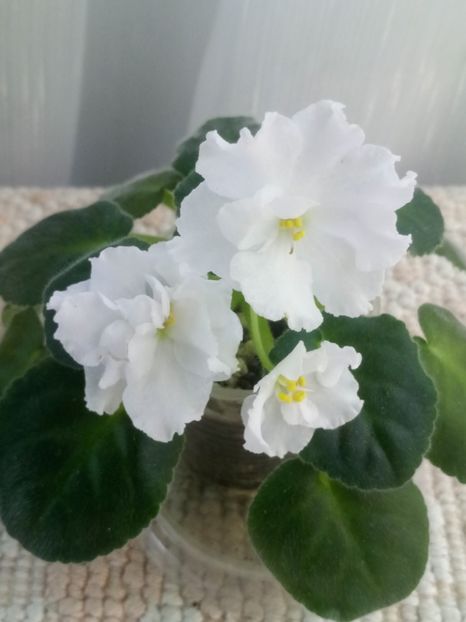 22 nov - ZZ Wedding Bouquet