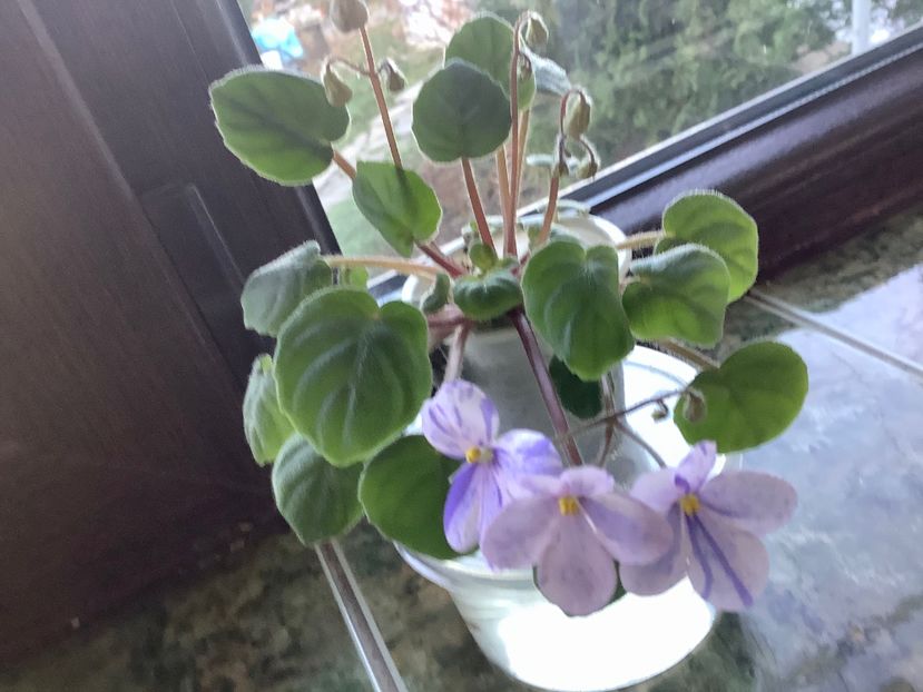  - Rob s Mirriwinni ch