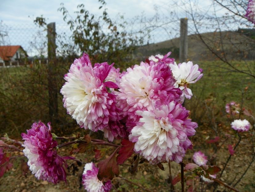 tufanele - Dobarland 2019 4