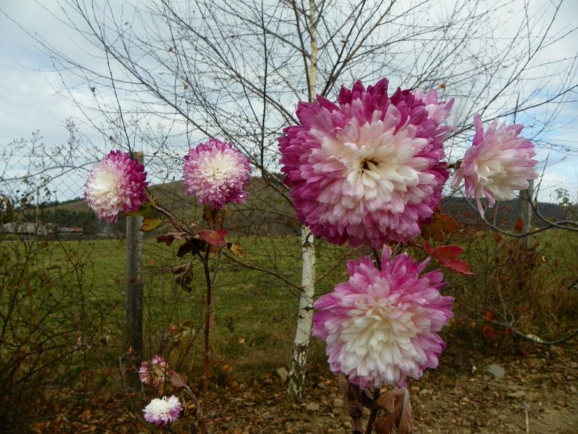 tufanele - Dobarland 2019 4