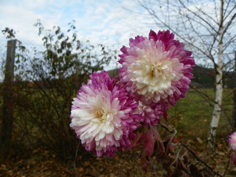 tufanele - Dobarland 2019 4