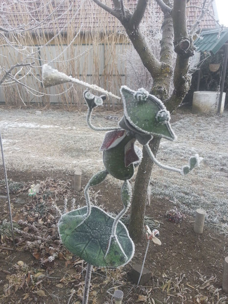 brr brr diridirida - Gradina si terasa PrimaLuce_2-Amintiri