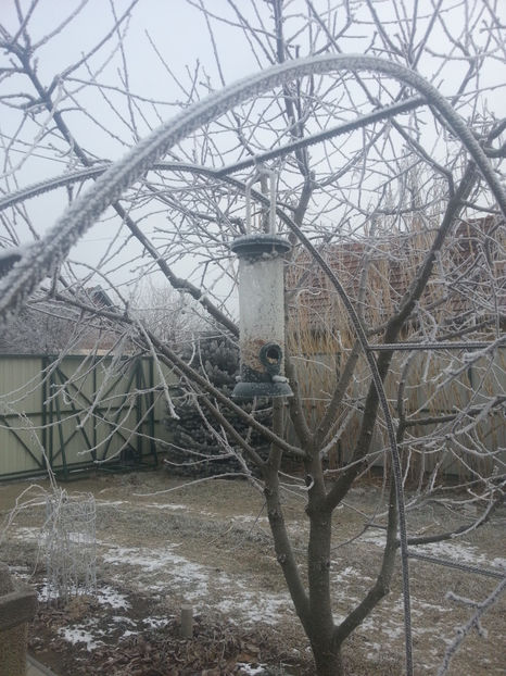 brrrr - Gradina si terasa PrimaLuce_2-Amintiri