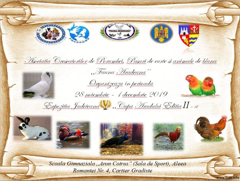 IMG-20191124-WA0000 - 7-EXPOZIȚII