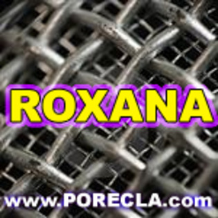 669-ROXANA%20avatare%20personalizate%20nume - avatare cu numele meu