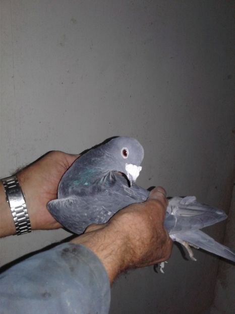  - 2 in vizita la Fauche Jean Louis