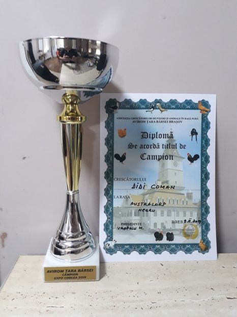 Avirom 2019 - 04 Cupe si diplome obtinute