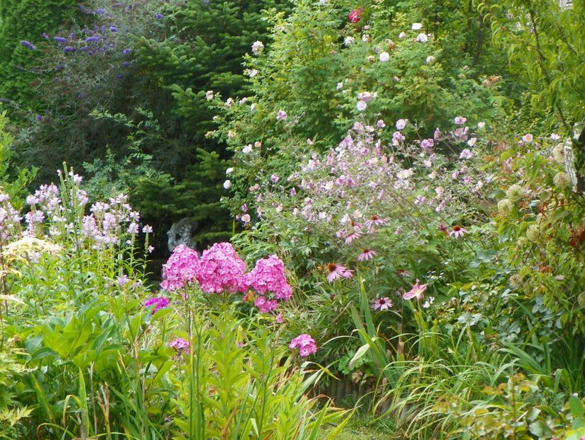 3 aug (71) - Gradina 2019