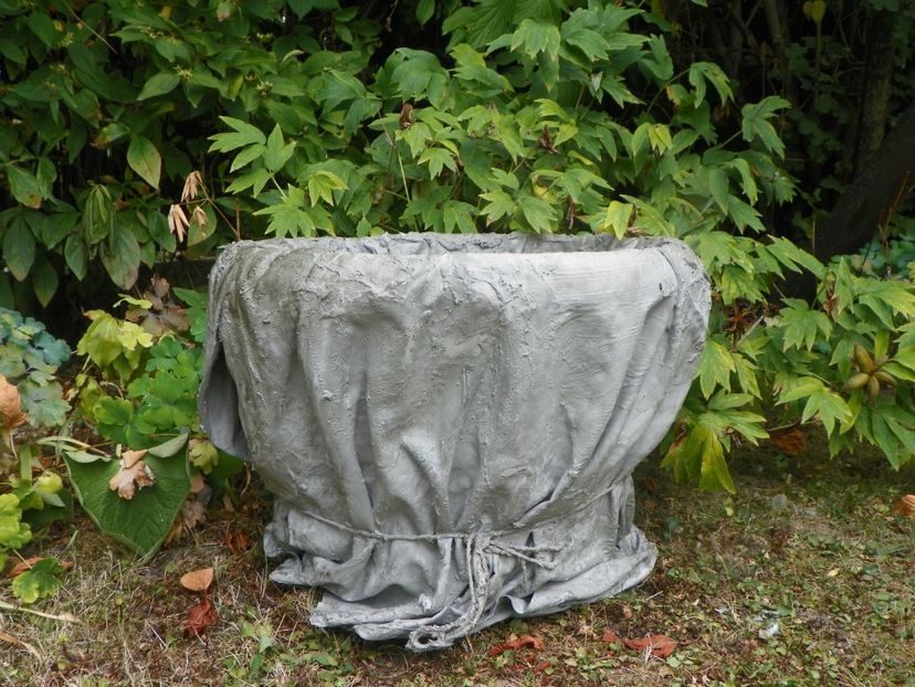 31 aug (23) - Vara 2019