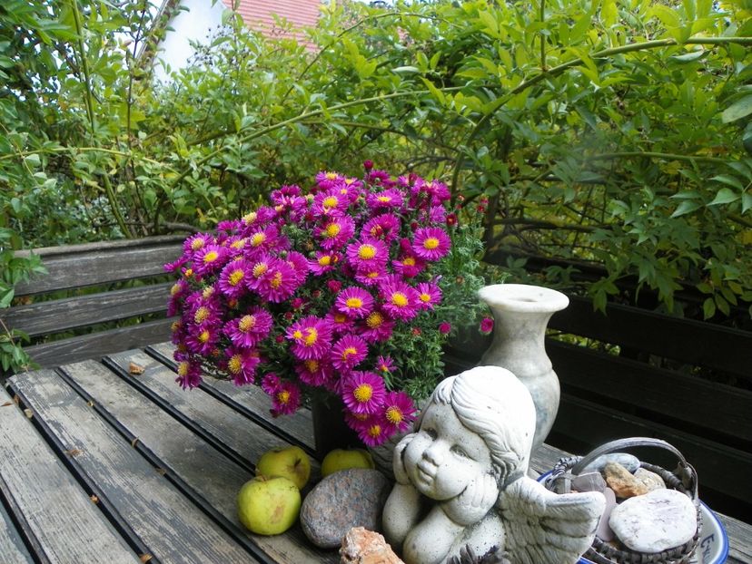 21 sept (22) - Gradina 2019