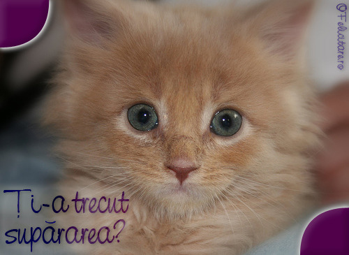 ti-a-trecut-supararea