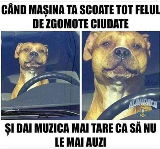  - ex nihilo nihil