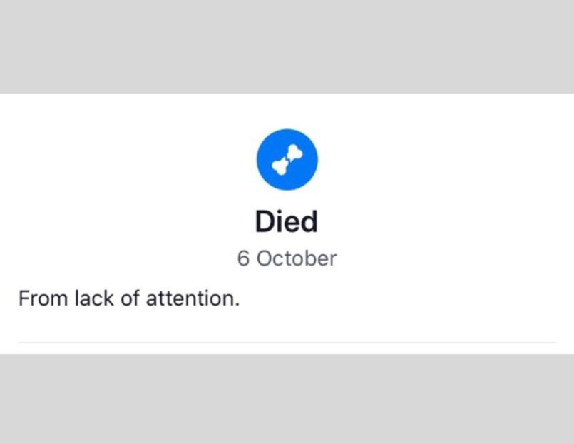 3F77F0CF-AF4C-40E6-9B5D-6C88C3F4AEA7 - w i remember the rush