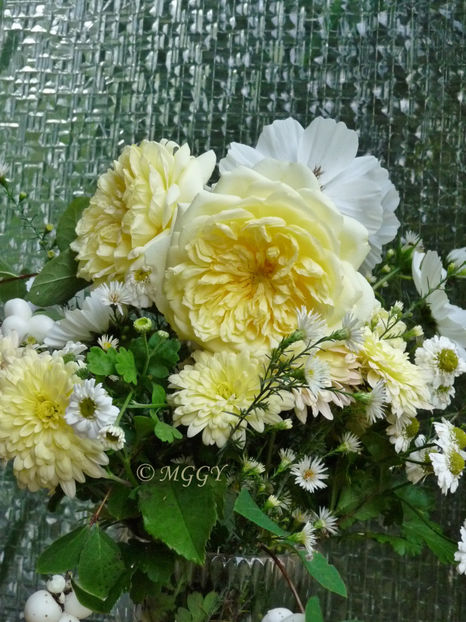 © - 01 - Floristica