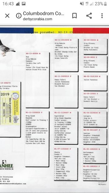 IMG-20191114-WA0036 - Achizitii 2019