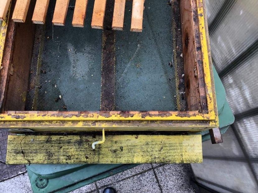 received_1154939511361646 - STUP MER