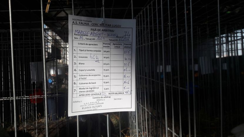  - Expo Lugoj 2019 - vizita