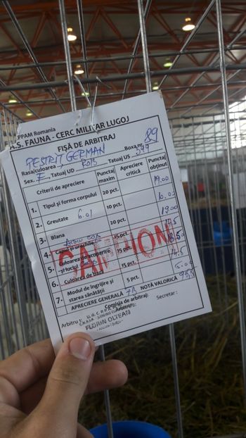  - Expo Lugoj 2019 - vizita