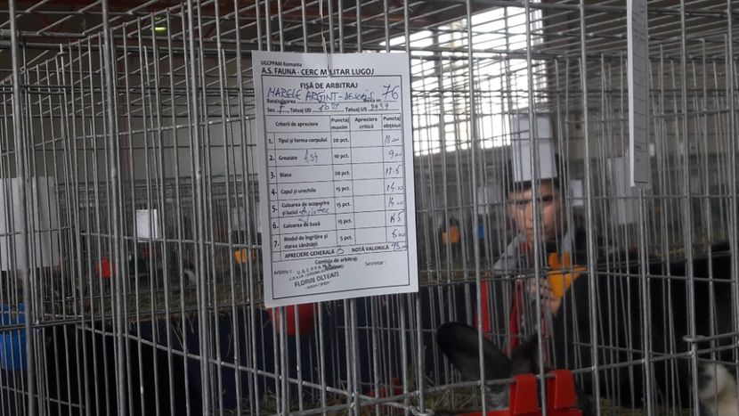  - Expo Lugoj 2019 - vizita