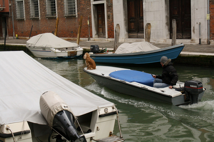 IMG_5953 - 2010-02-20 Venice