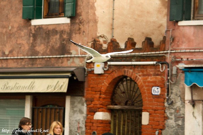 IMG_5994 - 2010-02-20 Venice