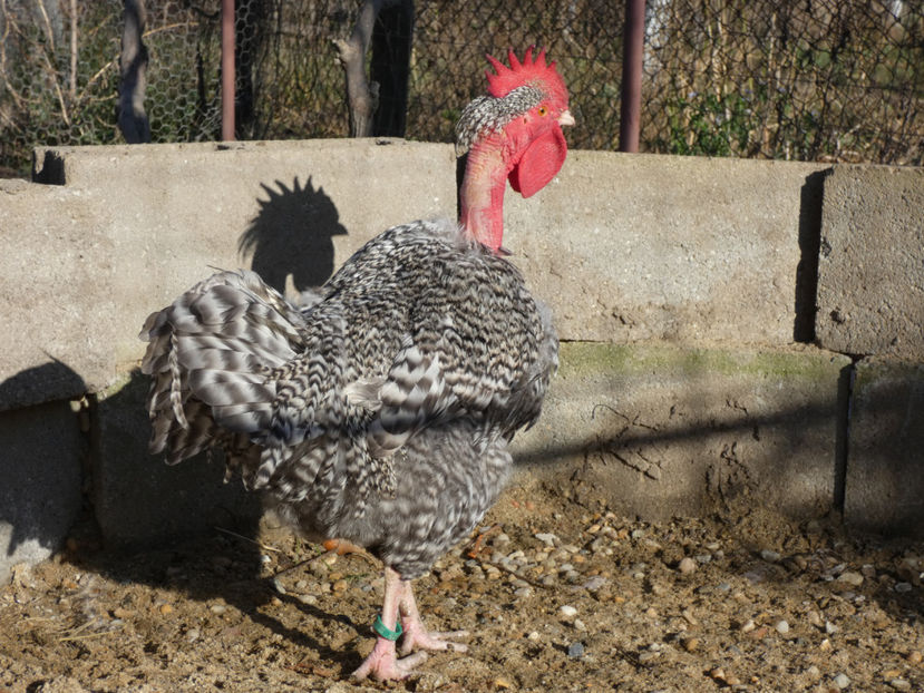 P1040407 - Matca 2019