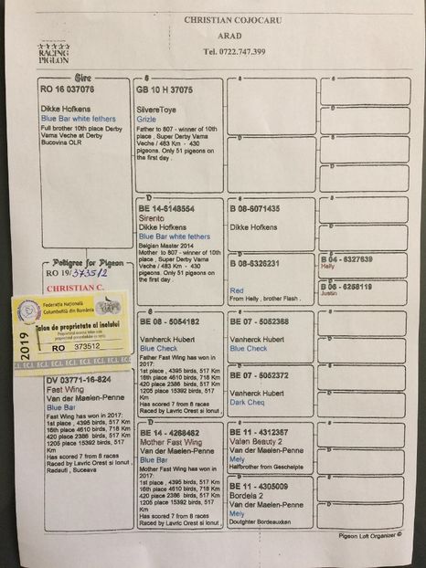 Columb-Transilvania-RO-373512-2019-pedigree - F Virginia