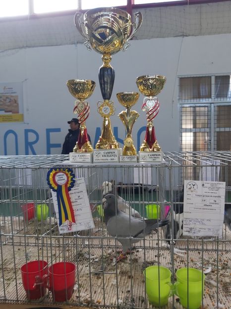  - Expo Cupa Crisana 2019