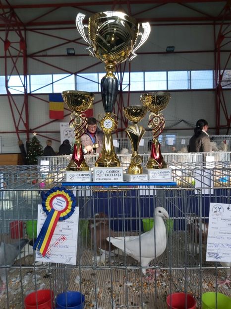  - Expo Cupa Crisana 2019