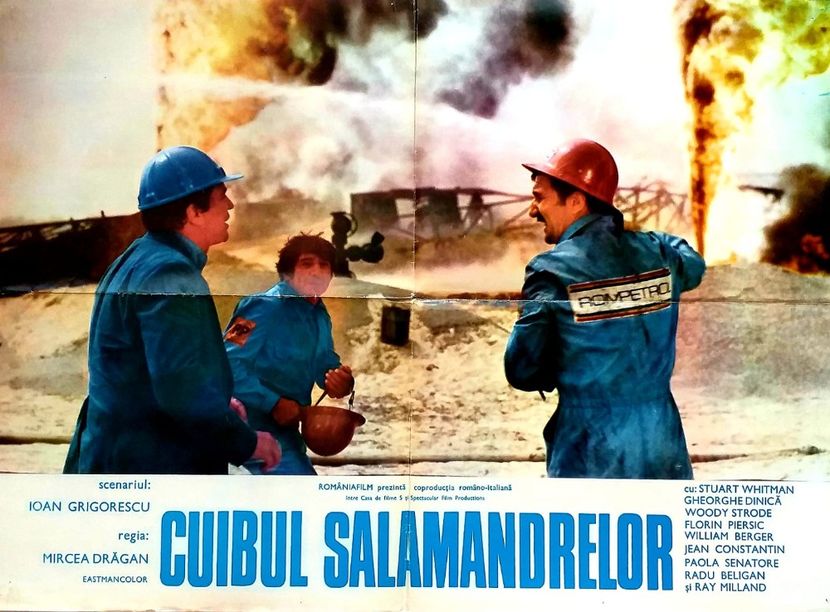 Cuibul Salamandrelor - Cuibul Salamandrelor 1976