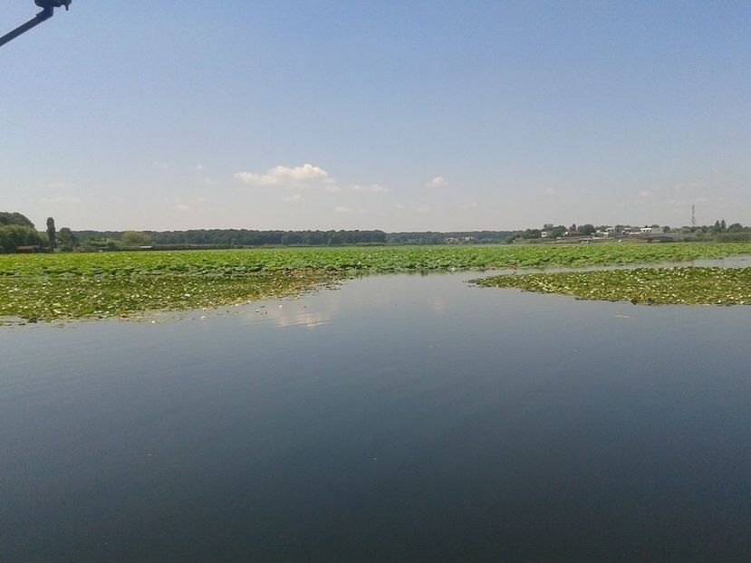 Toate Panzele Sus - Toate Panzele Sus 1976