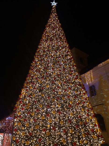  - Târgul de Crăciun Sibiu în noiembrie2019