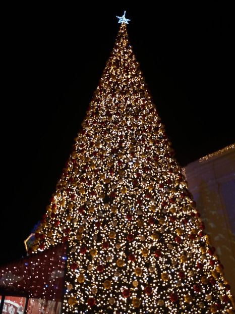  - Târgul de Crăciun Sibiu în noiembrie2019