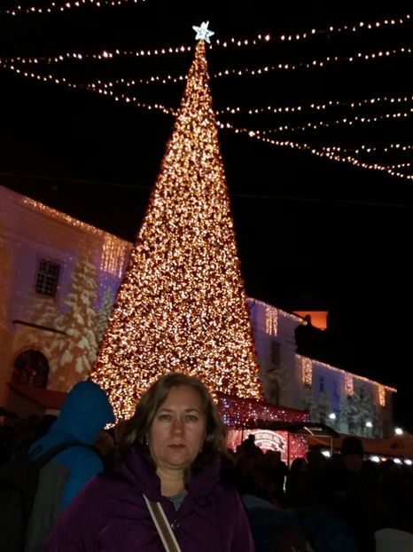  - Târgul de Crăciun Sibiu în noiembrie2019