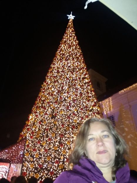  - Târgul de Crăciun Sibiu în noiembrie2019