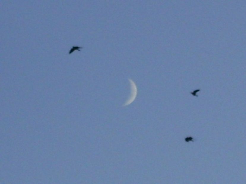 Luna in crestere in Varsator - Luna - Soarele si norii - 2