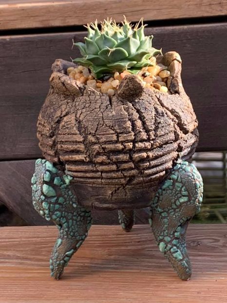 Mark Follon: Obregonia denegri - Vase - aranjamente - accesorii