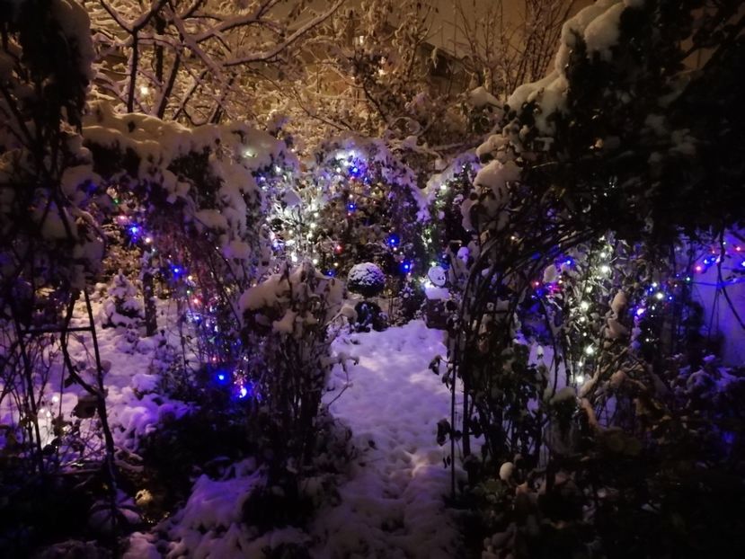  - Grădina 2019 sfârșit de sezon