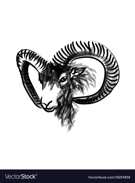 ink-sketch-head-mouflon-vector-19294858 - MARIETA BADESCU - ex SIRETEANU- sotie legitima pe timp limitat