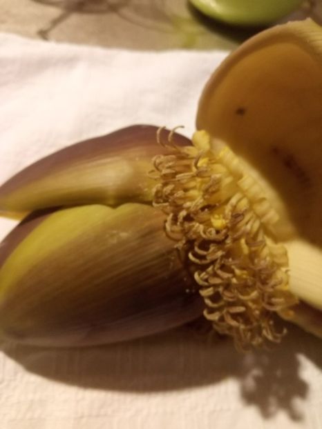  - Bananul