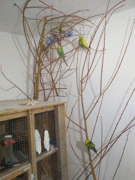  - 1 PERUSI 2018-2019