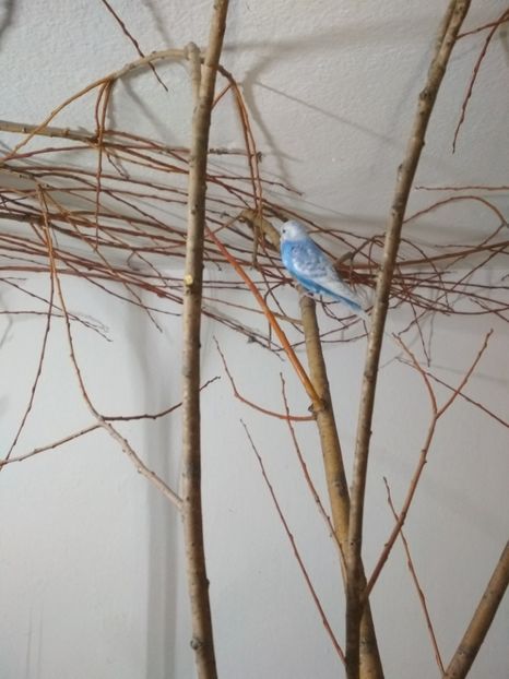  - 1 PERUSI 2018-2019