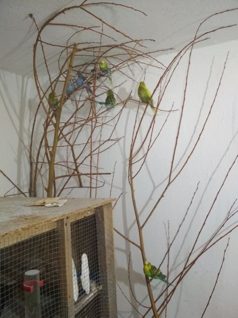  - 1 PERUSI 2018-2019